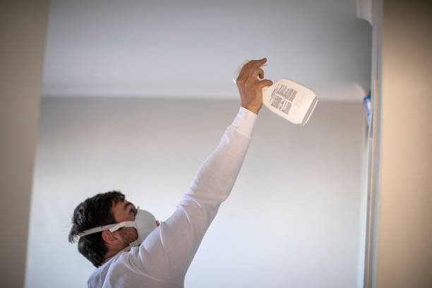 Best Mold Inspection  in Pinewood, FL