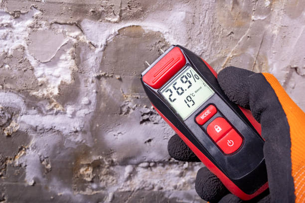 Best Attic Mold Removal  in Pinewood, FL