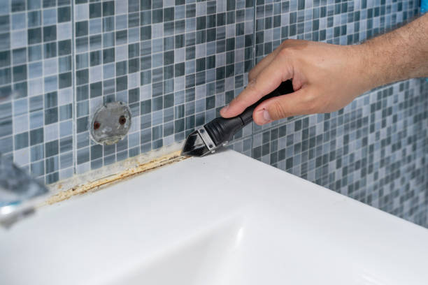 Best Certified Mold Removal  in Pinewood, FL