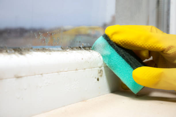Water Damage Restoration in Pinewood, FL